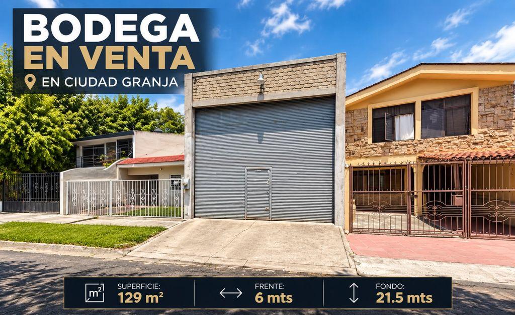 Foto de la galeria de imagenes