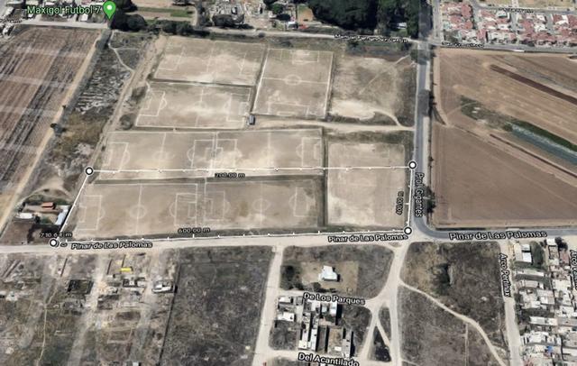 Foto de la galeria de imagenes