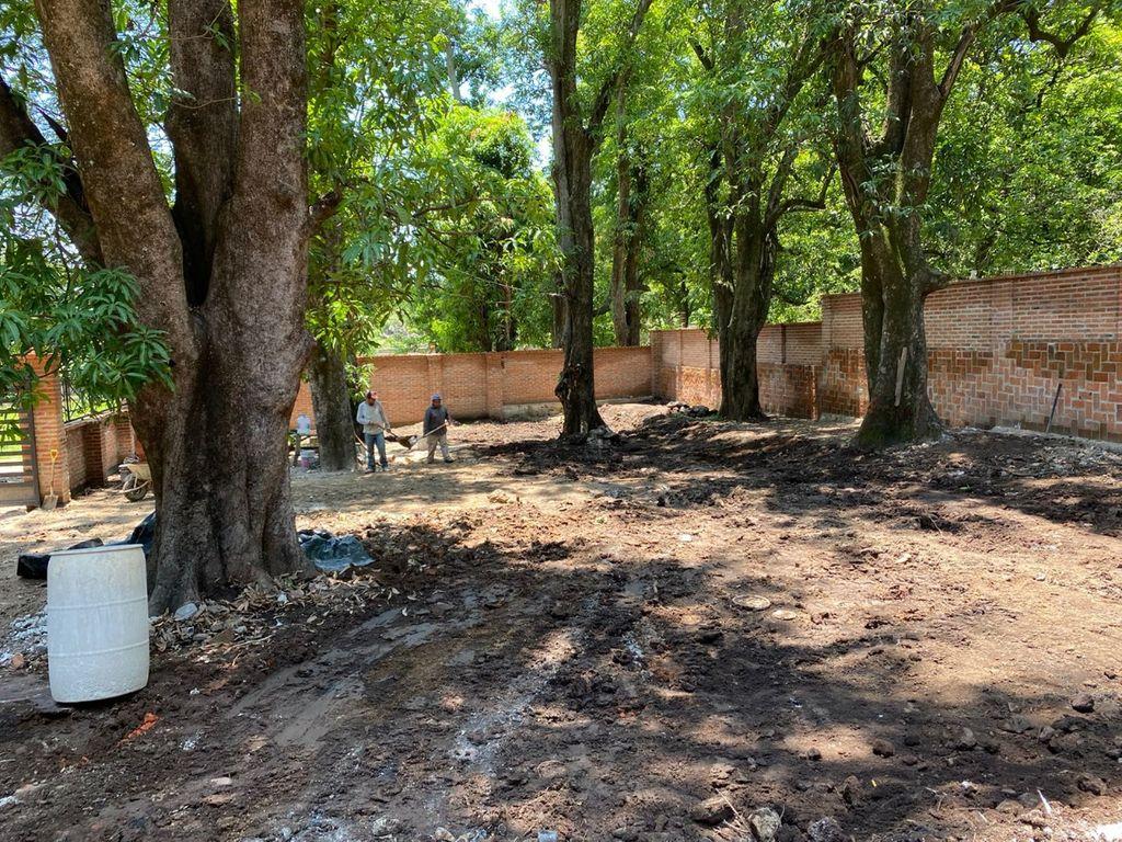 Foto de la galeria de imagenes