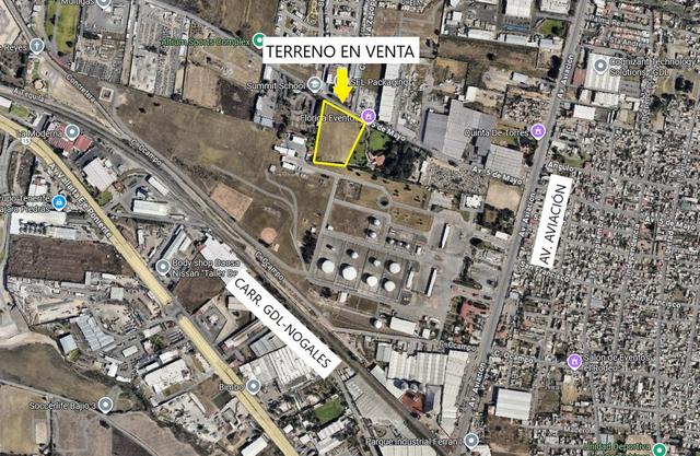 Foto de la galeria de imagenes