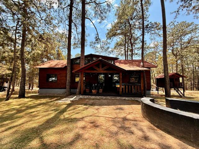 Foto de la galeria de imagenes